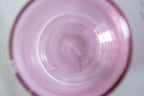 4 Pack double wall glass tumbler- Watermelon