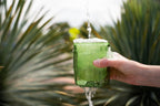 4 Pack double wall glass tumbler-Lime