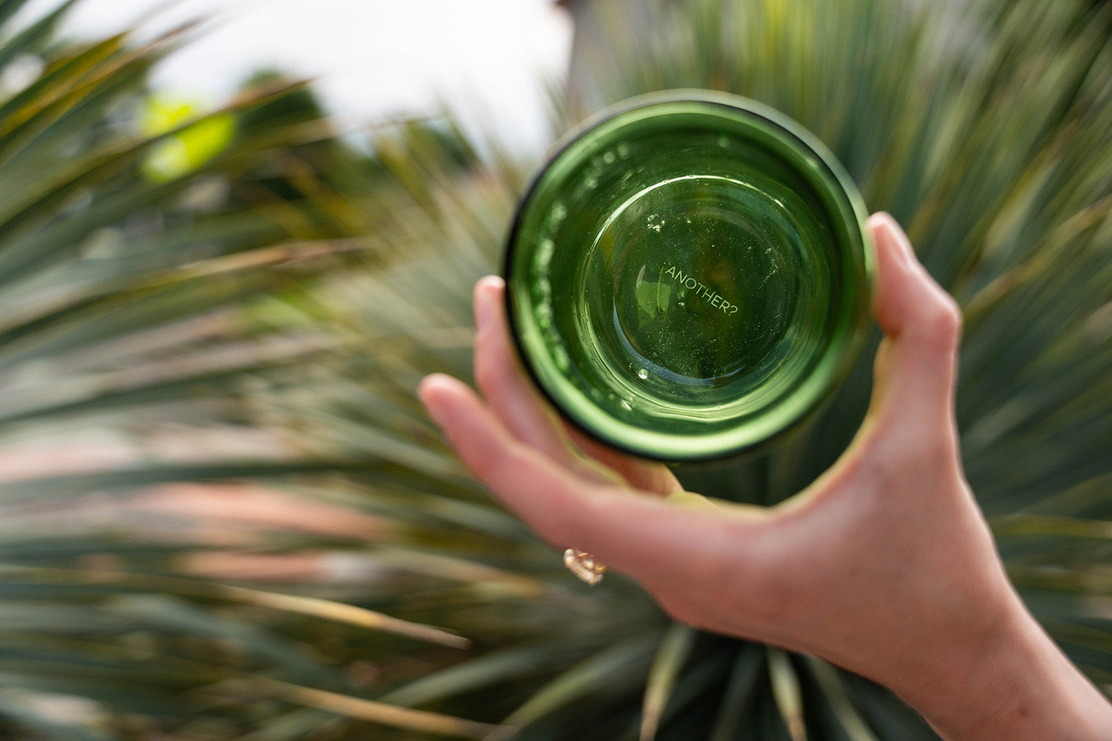 4 Pack double wall glass tumbler-Lime